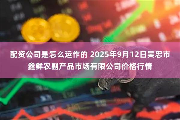 配资公司是怎么运作的 2025年9月12日吴忠市鑫鲜农副产品市场有限公司价格行情